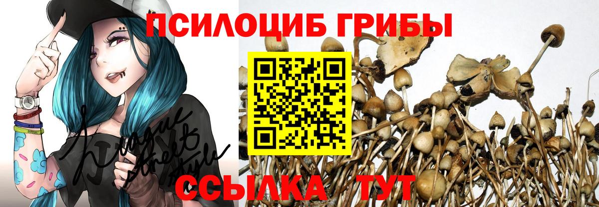 Сальск  Галлюциногенные грибы мицелий  Псилоцибиновые грибы прущие грибы  Вход с VPN 